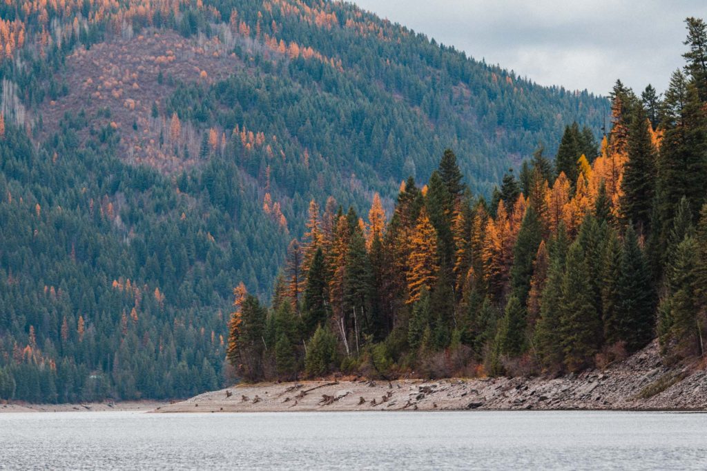 Fall colors at Sullivan Lake Washington